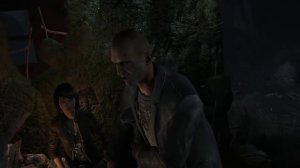 Tomb Raider (2013) on Samsung RC530 S02 GEFORCE GT540m 1gb