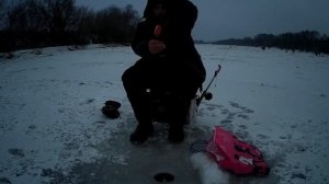 Рыбалка на  Дону снасть Покаток Кучу рыбы Тых и ни с места