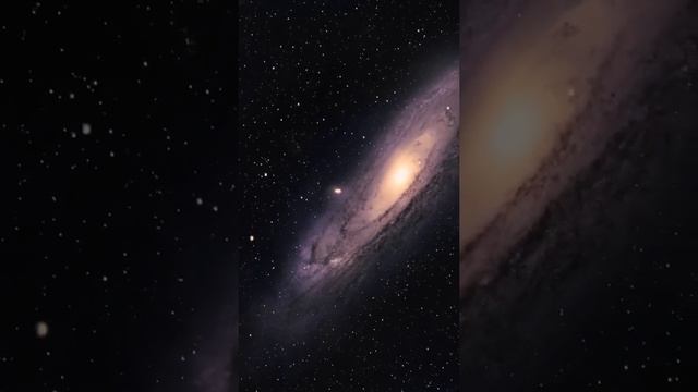 Animated image of the Andromeda galaxy 💫