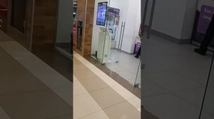 тц браво