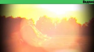 Тайна белых богов.mp4