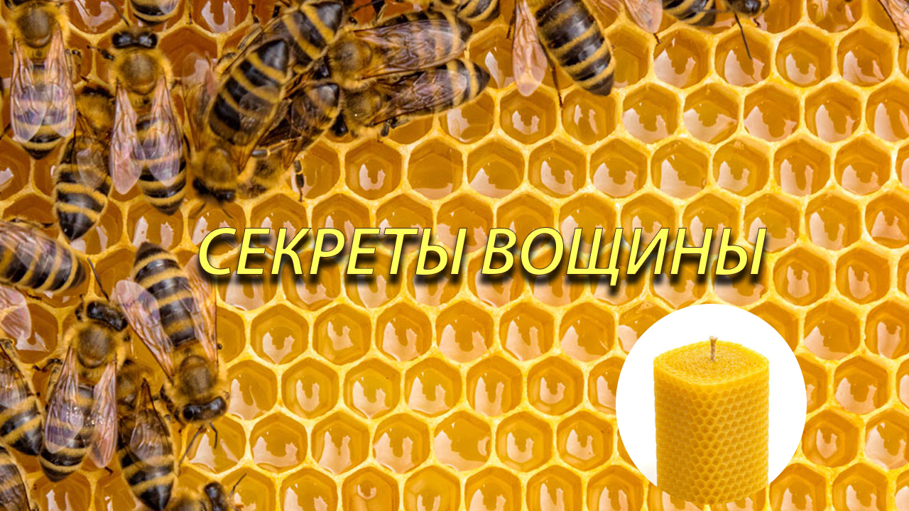 Секреты вощины