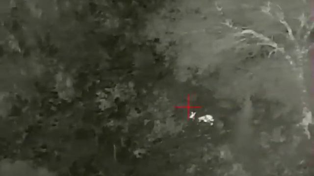 iRay SCT 35 косуля 80м смотреть онлайн