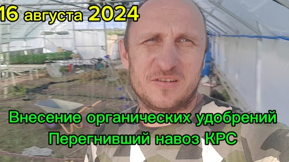 Внесение органических удобрений в теплице.
Навоз - перегной