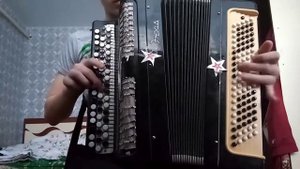 сектор газа колхозный панк на баяне