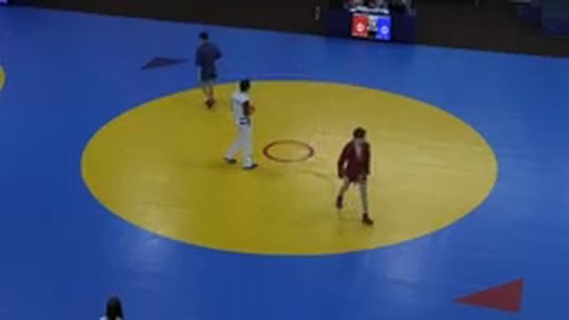 Всероссийские соревнования по самбо "Сибирский Богатырь"( ковер3) смотреть онлайн