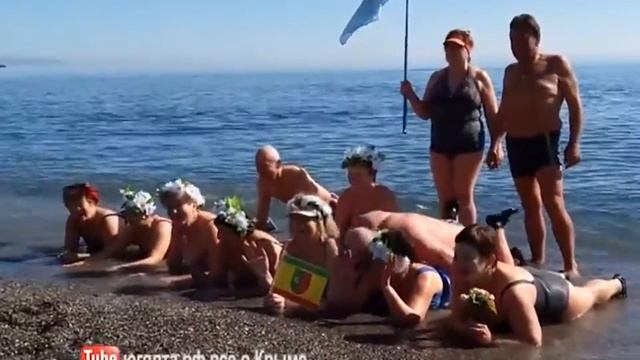 В Алуште моржи совершили массовый заплыв смотреть онлайн