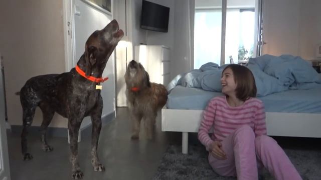 1302 Tango Oskar Marta jaulen смотреть онлайн