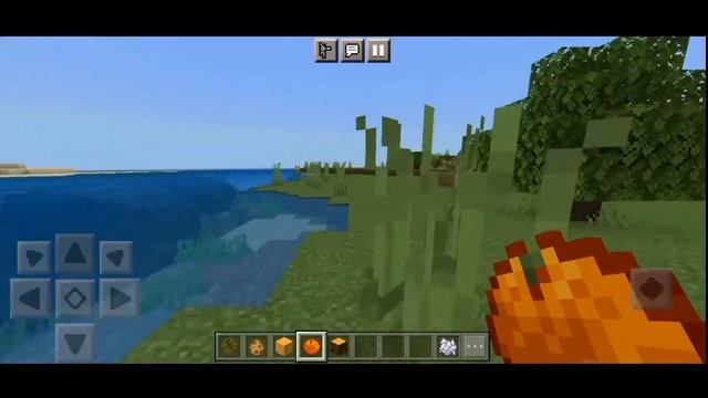 CAPYBARA Addon - Minecraft Bedrock/Pe 1.19.X смотреть онлайн