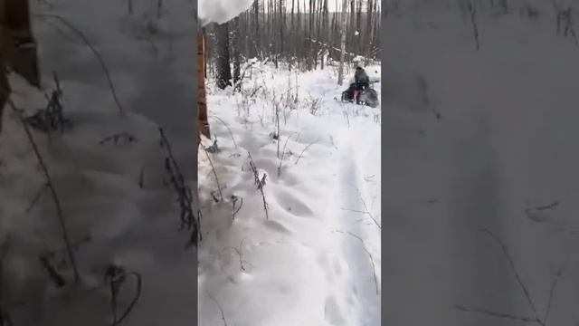 На снегоходе по тайге. Охота. Промысел. On a snowmobile in the taiga. Hunting. Fishing. смотреть онлайн