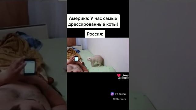 жиза