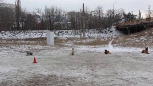 Зарисовки из Альминой жизни. Выдержка в группе.