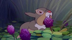 Run Rabbit - Run Rabbit - Run! Run! Run! by Allen and Flanagan