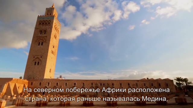 Состав Сока Нони.