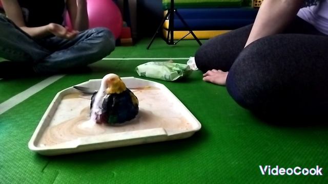 Вулкан часть 1
