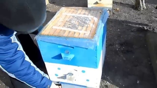 Вентиляция зимой в моих ульях смотреть онлайн
