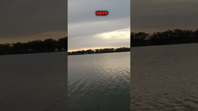 Ловля рыбы: минусы GPS на кораблике смотреть онлайн