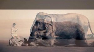 Deva Premal - Jai Radha Madhav