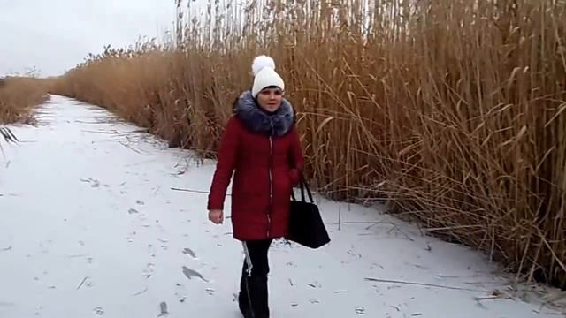 ПРОГУЛКА В ЗЕНЗЕЛЯХ
