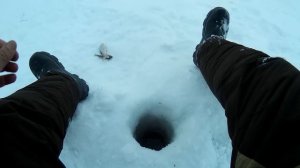 УЛОВИСТАЯ БЕЗМОТЫЛКА #5. Уральские "СКОРПЕНЫ" и ПЛОТВА . Часовой "марафон".