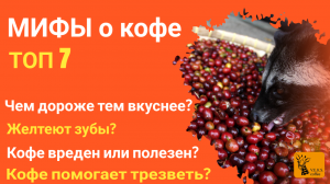 7 популярных мифов о кофе|| Полезен ли кофе? || От кофе желтеют зубы? || Норма кофе?|| Влияет цена?