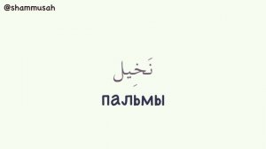 УЧИМ АРАБСКИЙ - Слова из Корана (часть 9)