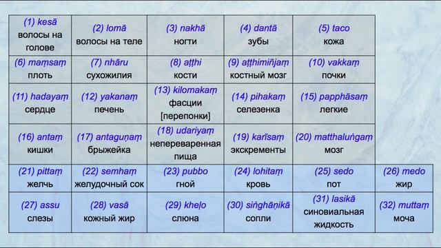 027. VIII.42-144 Медитация на 32 части тела смотреть онлайн