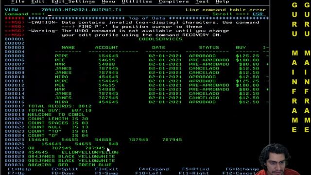 DAILY COBOL #28 : FUNCTION INTEGER-OF-DATE AND DATE-OF-INTEGER | IBM MAINFRAME