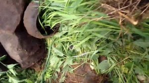 КОП МЕТАЛЛА, в глухих местах 2022г.