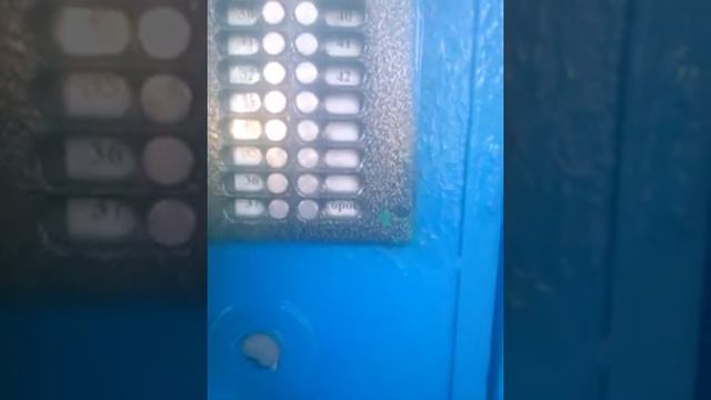 Влог/1+ ПХ смотреть онлайн