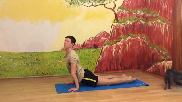 Сурья намаскар. Классический и силовой вариант. Техника выполнения. смотреть онлайн