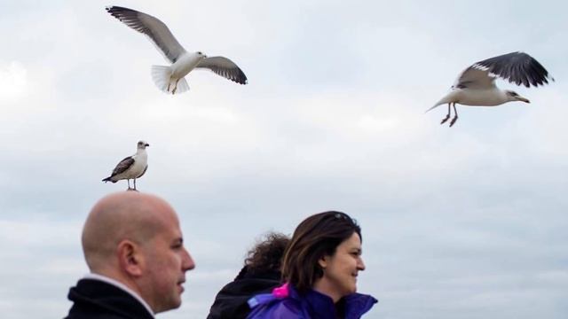 60 фотографий, сделанных в нужный момент смотреть онлайн