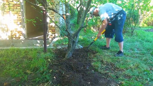 Моя дача 143 смотреть онлайн