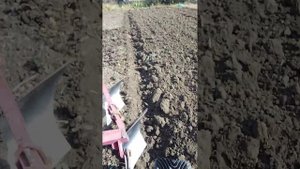 Пашем огород 2/23 Плуг Владимир Шкуратов ?