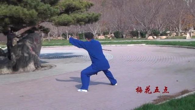 Мастер Чэнь Чжэньшэн (陈振声) демонстрирует комплекс шаньсийского синъи цюань ...