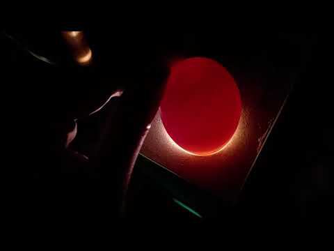 Купила ИЯ мускусных уток а там сюрприз смотреть онлайн