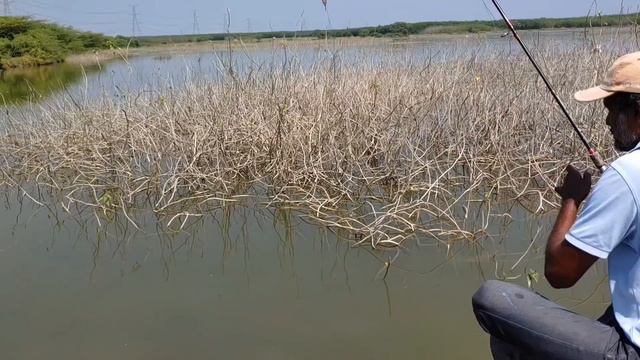 Amazing fishing   catching big indian rupchandRedbilled fishes