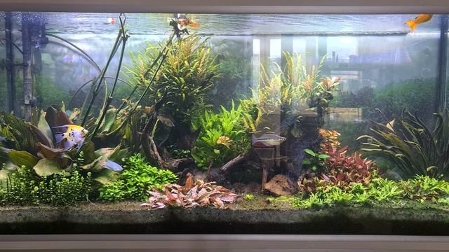 Просто видео) смотреть онлайн