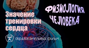 Значение тренировки сердца.avi