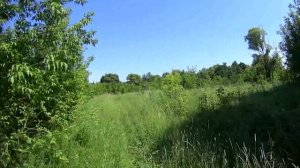 Заброшенная деревня в живописном месте Тамбовской области