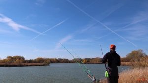 Fall Catfishing Using Cut Bait! (Bank Fishing)