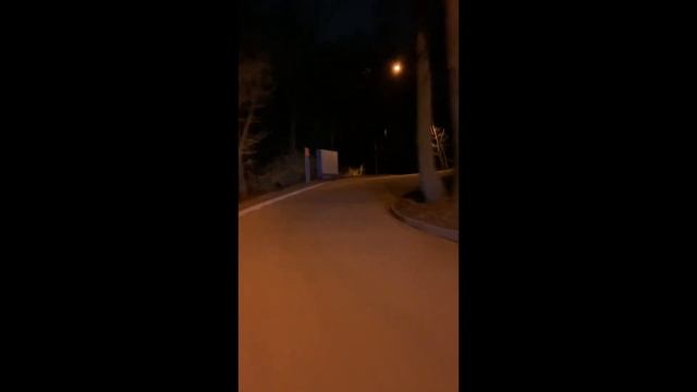 Вечерние покатушки смотреть онлайн