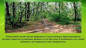 Заповедный мотив, заповедная даль