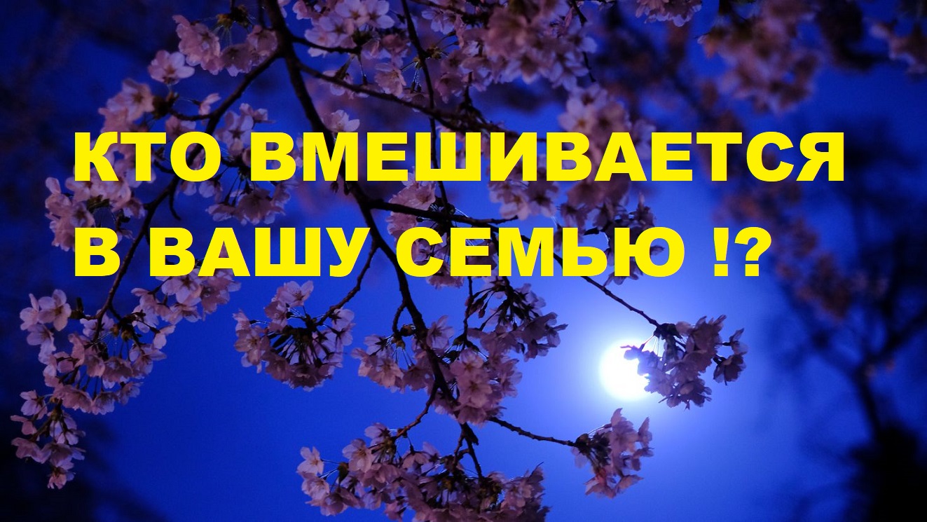 КАК ОБЕЗОПАСИТЬ СВОЮ СЕМЬЮ ОТ ВМЕШАТЕЛЬСТВА ТРЕТЬИХ ЛИЦ? / Карты Таро расклад