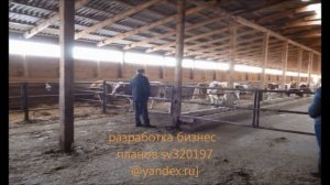 Холодное содержание коров