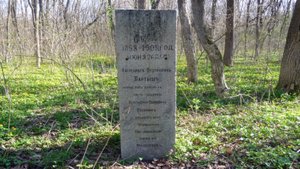 №115. ПАНСКИЙ ЛЕС.
