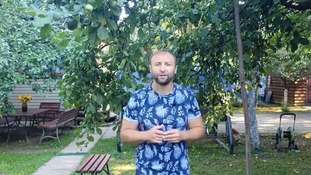 Покайтесь пока не поздно.хорошие стихи. смотреть онлайн