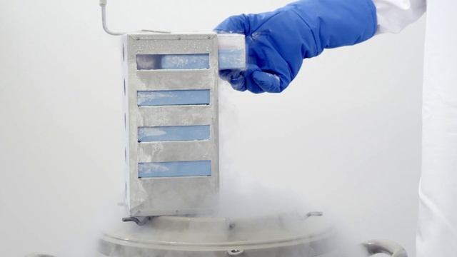 THE PHYTOMER LABORATORY смотреть онлайн