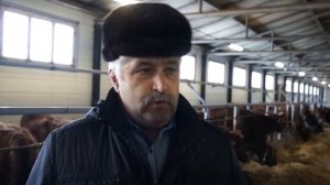 Агрохолдинг А7 АГРО в Красногвардейском районе Оренбургской области