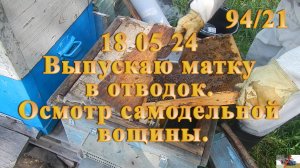 Выпускаю матку в отводок. Осмотр самодельной вощины